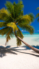 Obraz na płótnie Canvas Une plage paradisiaque de Moorea en Polynésie Française