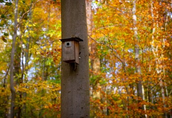 bird house in autumn