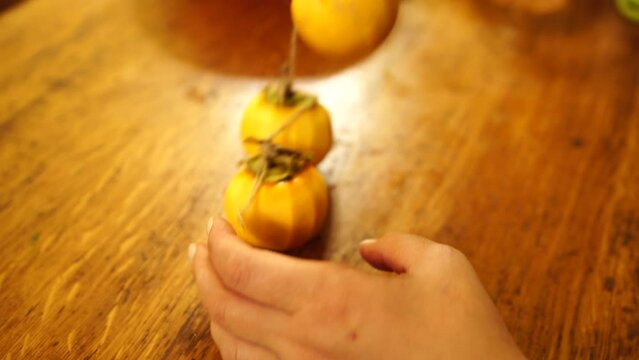 Woman hands preparing fresh persimmon fruit for drying, lined up on a rope. Row of Hanging Japanese dried Persimmon - Hoshigaki on strings to preserved it in autumn season. Selective focus