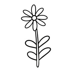 Monochrome Single daisy flower with leaves, vector cartoon