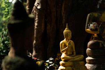 Close up buddha statue at Thai temple