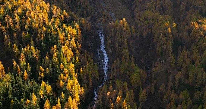 Aerial view orbiting pristine waterfall cascading through Ahrntal Casere Autumn woodland valley, South Tyrol