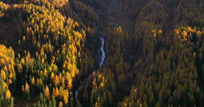 Aerial view orbiting waterfall cascading through Ahrntal Casere pristine Autumn woodland valley, South Tyrol