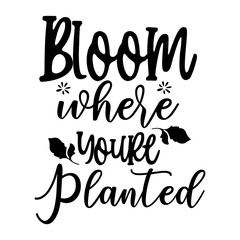Bloom Where Youre Planted
