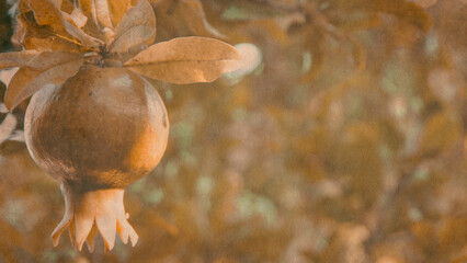a silhouetted pomegranate in the background with a wallpaper of patterned tree branches in shadows.Christmas and romantic, vintage autumn background. Copy space 