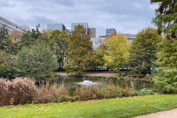 Fototapeta na wymiar A pond in the Leopold park in Brussels