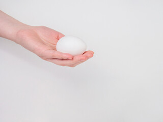 Fototapeta na wymiar White egg in hand on a white background.