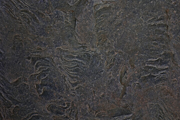 Elegant luxury dark multicolored background with vintage grunge texture