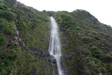 The cliff, reef and sea