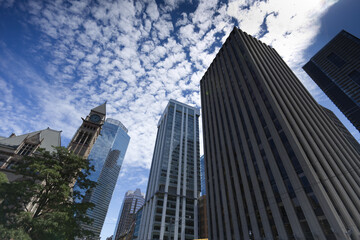 Fototapeta na wymiar The skyscrapers and blue sky of Toronto, Canada