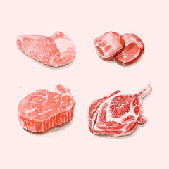 Set of raw beef steaks. Watercolor vector illustration.