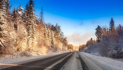 Fototapeta na wymiar Winter landscape with road, trees and blue sky