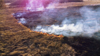 Aerial Drone View Over Burning Dry Grass and Smoke in Field. Flame and Open Fire. Top View Black Ash from Scorched Grass, Rising White Smoke and Yellow Dried Grass. Ecological Catastrophy, Environment