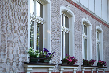 Windows of beautiful white building decorated with blooming potted plants