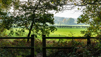 Looking out at the countryside from behind a fence