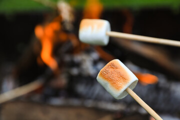 Delicious puffy marshmallows roasting over bonfire, closeup. Space for text