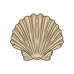 Shell Hand Drawn Vector Illustration