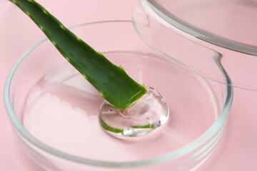Petri dish with aloe plant and cosmetic product on pink background, closeup