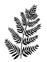 Abstract, hand drawn floral fern leaf branch, forest florals