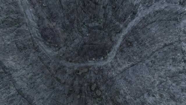 Top down aerial drone of dead grey dark forest after violent bush fire, zoom out