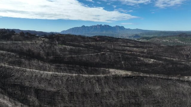Aerial shot of burned forest and Montserrat mountain aerial.