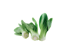 Choy    isolated on transparent png