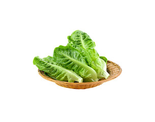    lettuce  isolated on transparent png