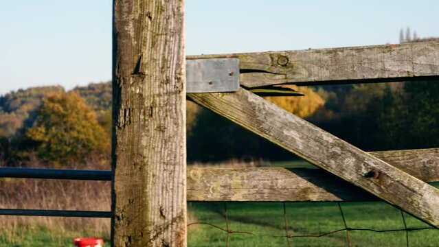 Rustic rickety wooden fence in farmers field