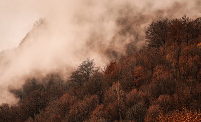 Fog clouds rising up from forest during an autumn morning. Autumn landscape at the bottom of the mountains.