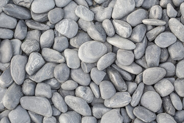 small smooth waterworn black pebbles or stones for use decor and garden landscaping. tone garden...