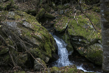 이끼 낀 계곡의 돌 사이로 흐르는 시원한 물