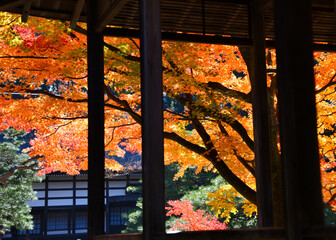 山寺と赤く染まる紅葉