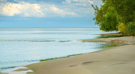 sandy beach with trees and water, coastline