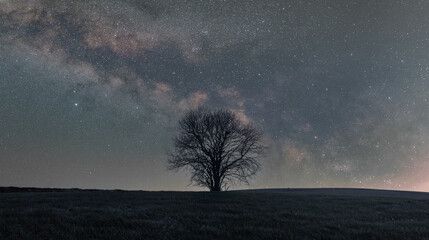 Lone tree with silhouetted against the Milky Way Core 