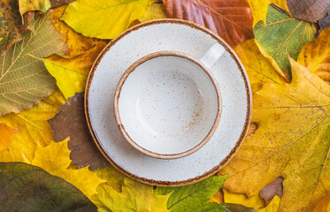 empty proselen cup resting on real leaves. coffee and tea served. Autumn concepts and colors.
