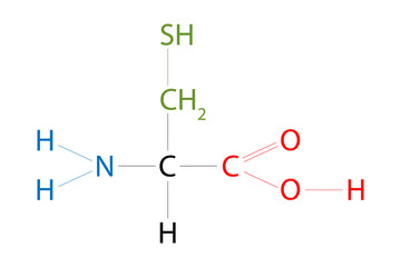 The structure of Cysteine. Cysteine is an amino acid that has a thiol side chain.