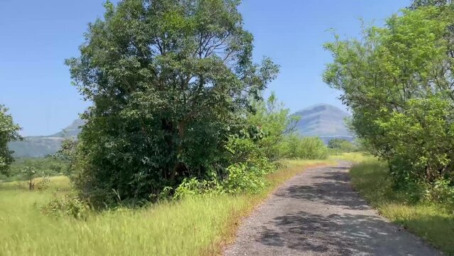 Traveling Into Empty Road Near Kalsubai Harishchandragad Wildlife Sanctuary, Ahmednagar, Maharashtra India. POV