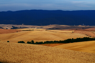 landscape in the mountains