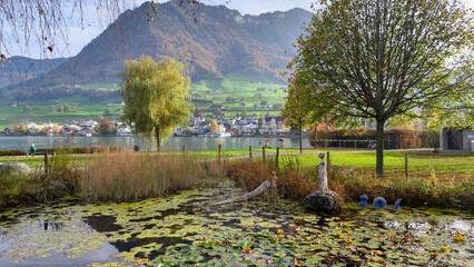 Fototapeta na wymiar View at the park of Buochs in Switzerland