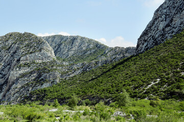 Picturesque view of beautiful mountains and plants under cloudy sky