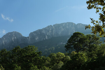 Big mountains and trees under cloudy sky