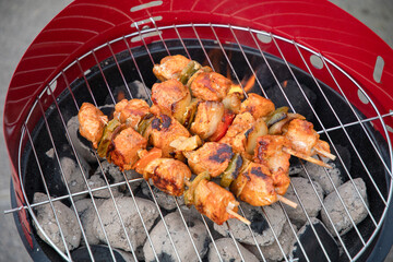 summer picnic with barbecue marinated chicken skewers with grilled vegetables