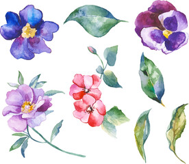 Watercolor painted collection of flowers. Hand drawn flower design elements isolated on white background.