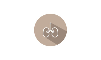 Kidney sign vector icon design template illustration