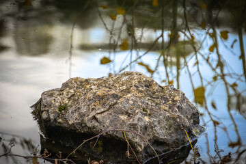 pierre en gros plan dans de l'eau