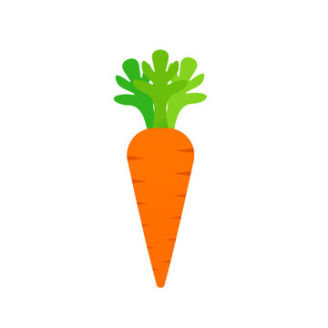Carrot icon. on a white background. Vector illustration