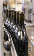 Dark glass bottles being filled with wine by industrial bottling machine at modern wine factory