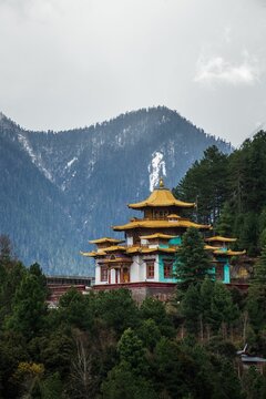 Vertical shot of a beautiful Buddhist temple among the trees in Bomi County, Nyingchi, Tibet