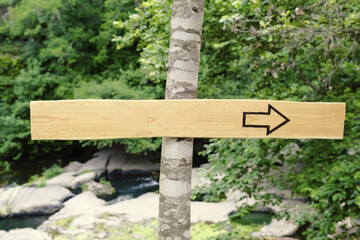 A blank wooden signopost, arrow-shaped, in the middle of a forest, with an arrow pointing right. Daylight, closeup shot.
