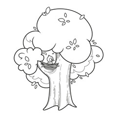 Tree with big foliar crown nd bird in nest outlined variation for coloring page isolated on white background